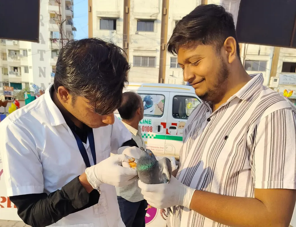 Animal rescue team providing on-site treatment